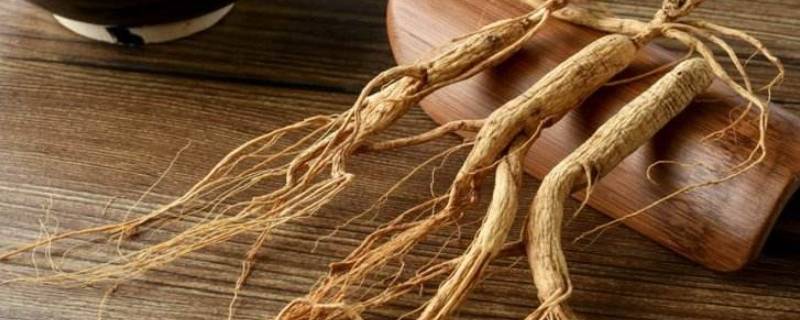 干人参的保质期限 干人参有保质期吗