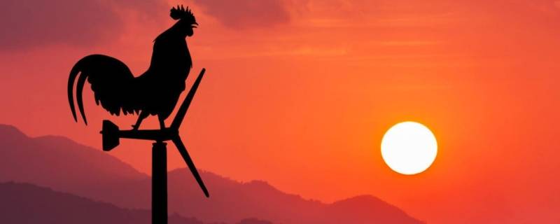 几点算早起 几点算早起几点算晚睡