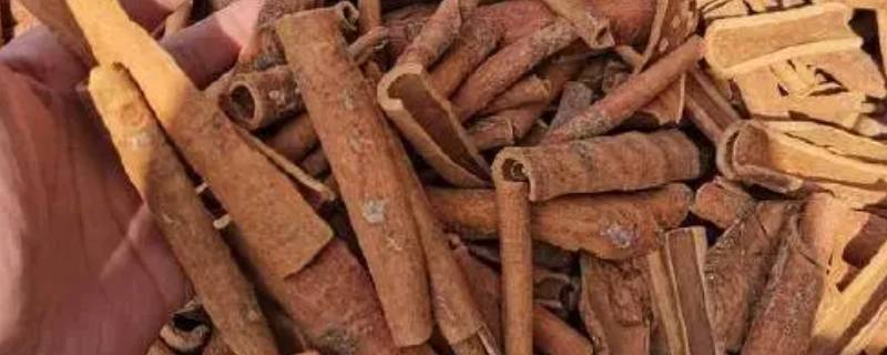 烟桂和桂皮有什么区别（烟桂与桂皮的什么区别）