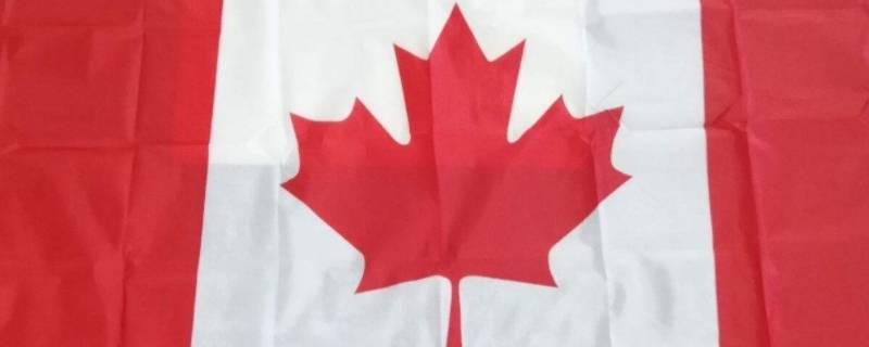 红色枫叶是哪国国旗（红枫叶的国旗）