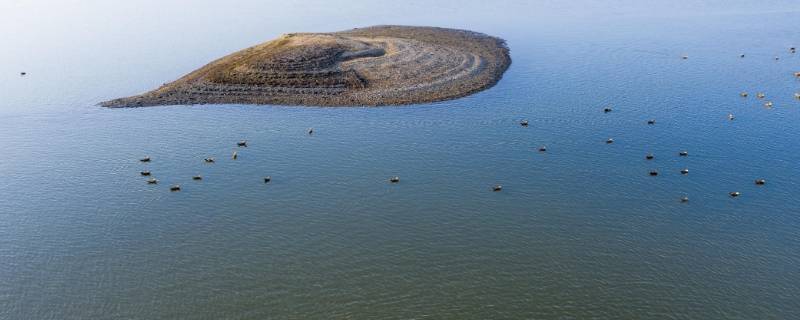 太湖和鄱阳湖哪个大 太湖看起来比鄱阳湖大