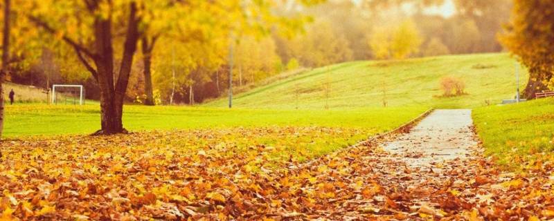 秋天天气的变化 秋天天气的变化图片幼儿园