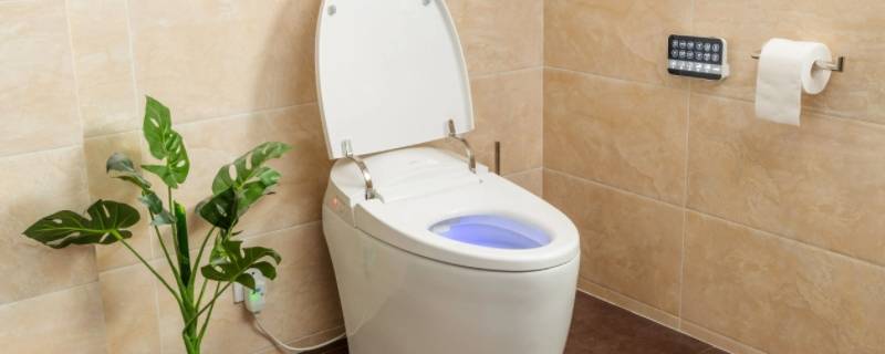 为什么马桶经常堵 为什么马桶会经常堵