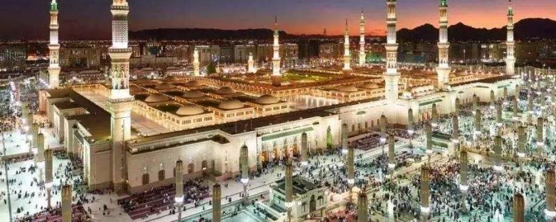 阿拉伯半岛是什么人种（阿拉伯半岛是什么人种语言）