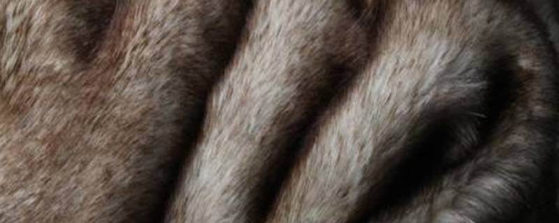 仿皮草能放洗衣机洗吗（皮草可以用洗衣机吗）