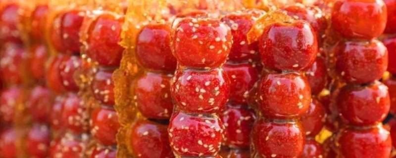 糖葫芦山楂是熟的还是生的（扁糖葫芦用生山楂还是熟山楂）