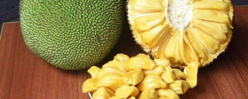 切菠萝蜜的正确方法 切菠萝蜜的正确方法是怎么样的