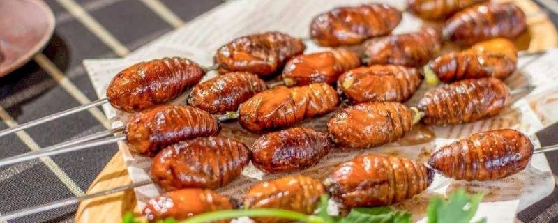 蚕蛹怎么分公母（蚕蛹怎么分公母方法）