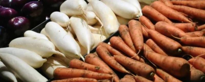 地下茎类蔬菜有哪些（地上茎和地下茎有哪些蔬菜）