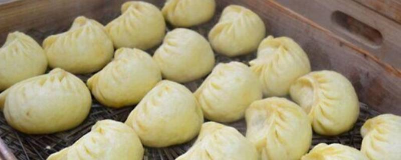 冬天素馅包子都有啥馅儿（冬天素馅饺子都有啥馅儿）