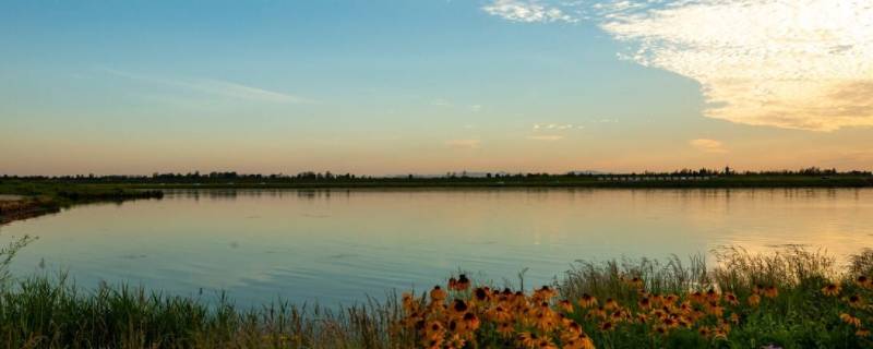 浮沱河还是滹沱河 河北滹沱河