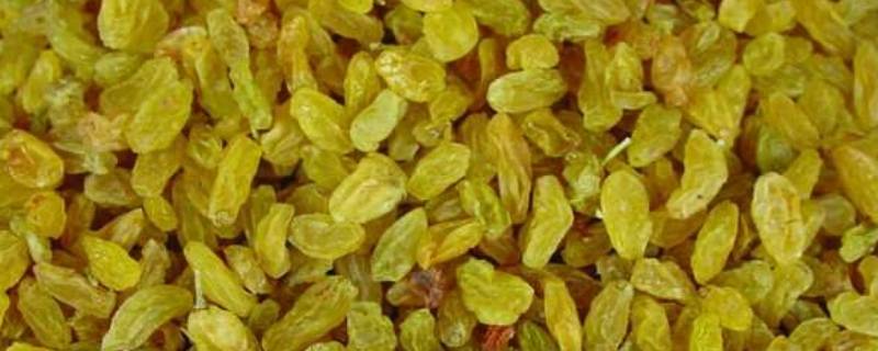 果干有哪些种类 干果都有哪些种类,分别是什么?