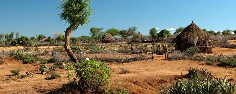 非洲有春夏秋冬之分吗（非洲没有冬天和夏天的是哪儿）