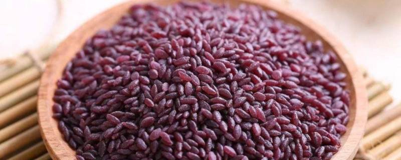 黑米与紫米有什么区别 黑米与紫米有什么区别图片