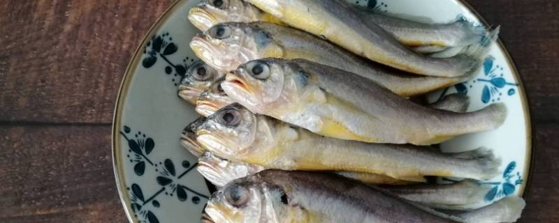 冷冻的鱼怎么快速解冻 冷冻的鱼怎样快速解冻