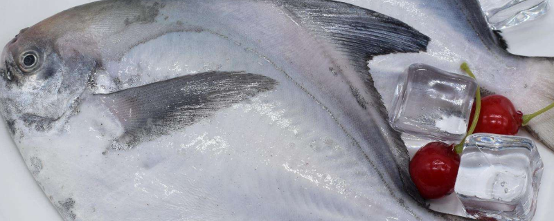 扁的鱼有哪几种（有一种扁的鱼是什么鱼）