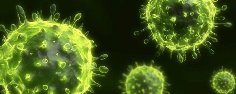 细菌武器又称什么（什么武器又称为细菌武器）