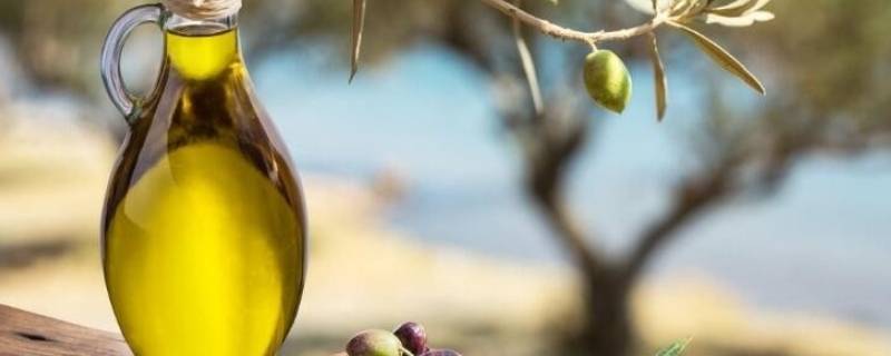 一级压榨和三级压榨有什么区别 一级压榨和三级压榨有什么区别花生油