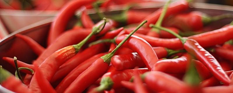 辣椒种类（辣椒种类及特点辣度）