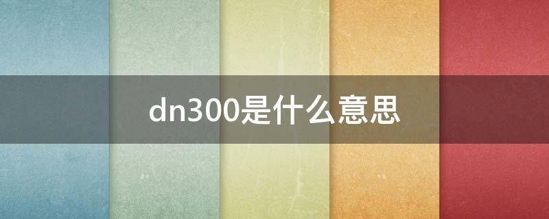 dn300是什么意思（污水管dn300是什么意思）
