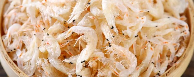 虾米吃什么（虾米吃什么食物）