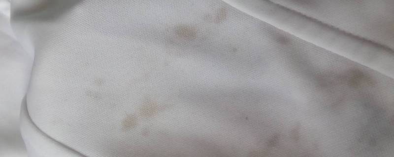 白衣服串色了怎么恢复原色 白衣服洗串色了,怎么变白