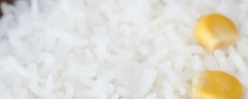 一人份米饭需要多少米和水 一碗米饭需要多少米多少水