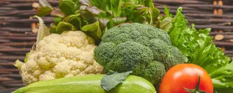 有机菜和普通菜的区别（有机蔬菜和普通蔬菜的区别）