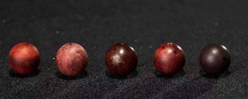 小叶紫檀有金丝吗（带金丝的小叶紫檀是什么样）