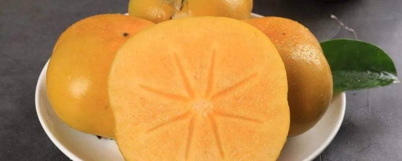 脆柿子是嫁接出来的吗（脆皮柿子是嫁接的吗）