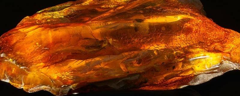 琥珀是什么材质 琥珀是什么材质的