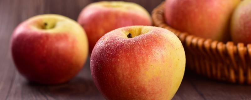 冬天苹果怎么储存（冬天苹果怎么储存不会焉）
