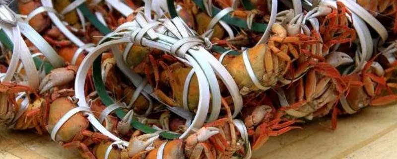 绑好的螃蟹怎么保存才能活着（螃蟹捆起来怎么保存）