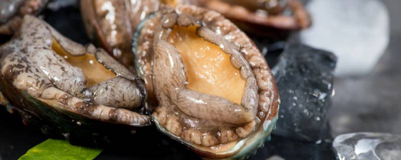 鲍鱼怎么清洗制作（鲍鱼怎么清洗制作视频）