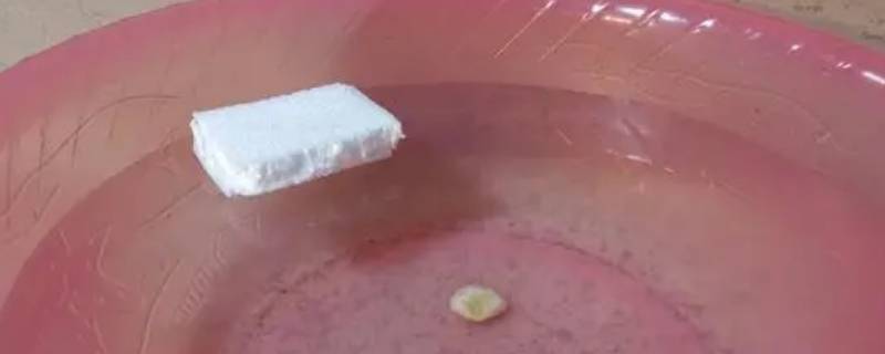 泡沫为什么会浮在水面上（泡沫为什么会浮出水面）