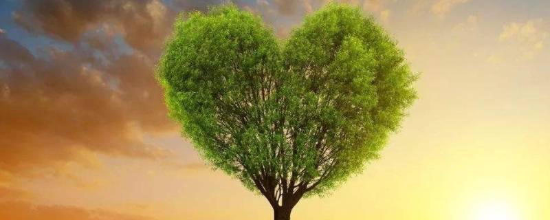 什么是大健康（什么是大健康,大健康产业包括哪些领域）