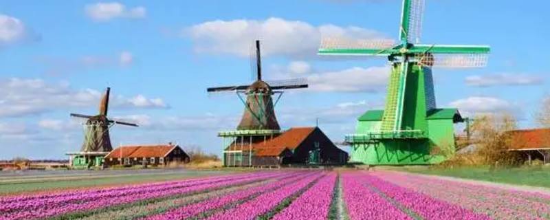 荷兰属于北欧还是西欧（荷兰属于南欧还是北欧）