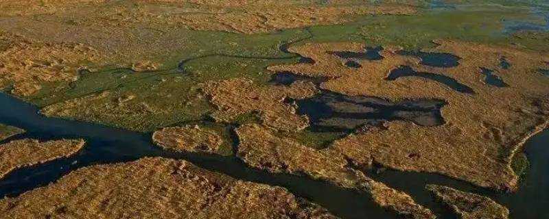 三角洲是什么（三角洲是什么意思?）