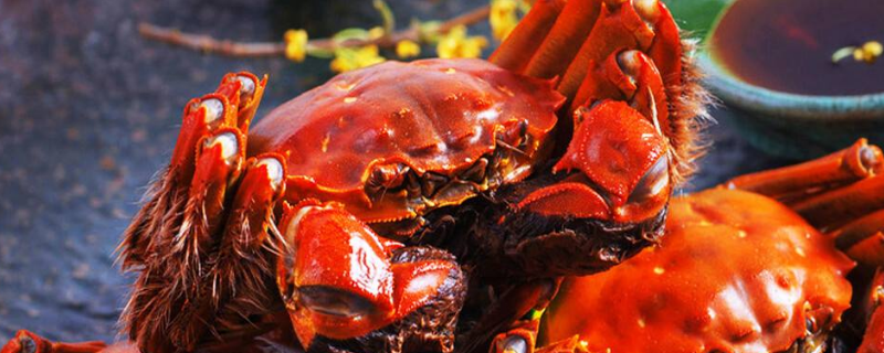 清洗大闸蟹的七个步骤（大闸蟹最简单的清洗方法,只需3步,又涨知识了）