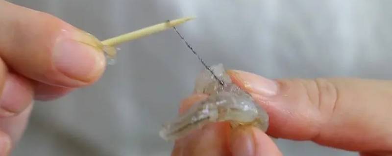 挑虾线是什么意思（宇将军被挑虾线是什么意思）