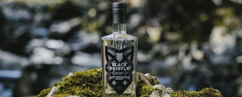 杜松子酒和金酒的区别 杜松子酒和白酒的区别