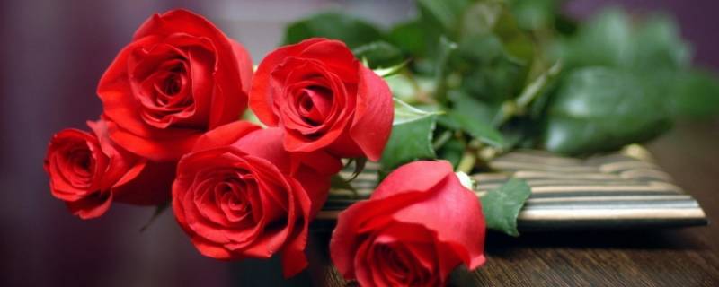 送三朵玫瑰花是什么意思 男人送三朵玫瑰花是什么意思