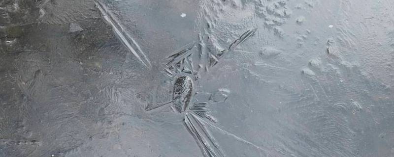 为什么会结冰（保鲜层为什么会结冰）