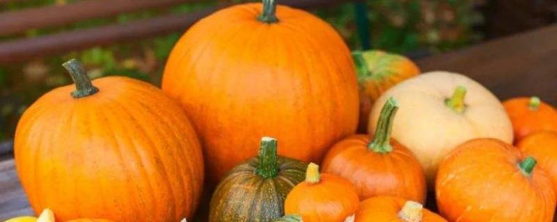 南瓜里面的瓤发霉了还能用吗 南瓜瓤发霉了还能吃吗