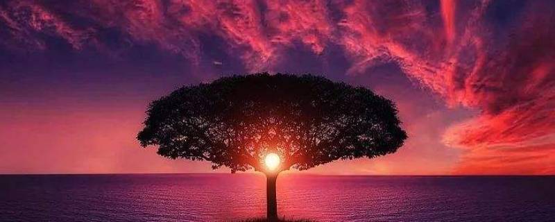 大气环境的自净能力与哪些因素有关（大气环境的自净作用）