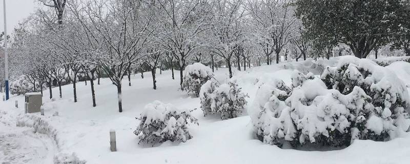 干雪和湿雪的区别 雪有干湿之分吗