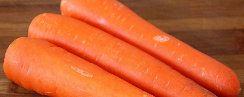 冬天的蔬菜有哪些（冬天的蔬菜有哪些图片）