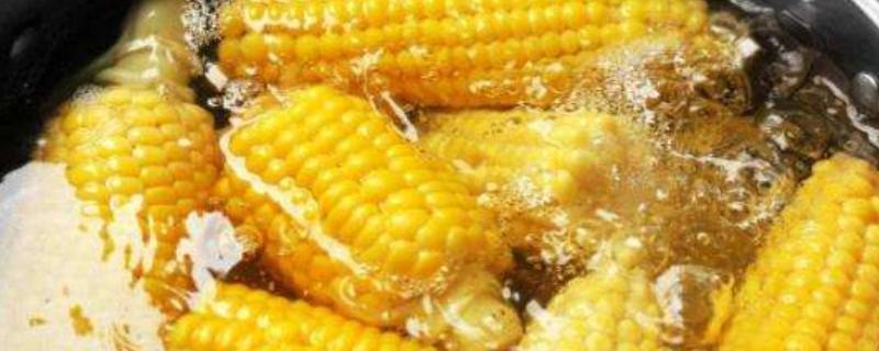 玉米煮多久可以熟 新鲜嫩玉米煮多久可以熟