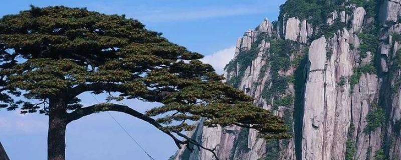 天都峰多高 天都峰有多少米高