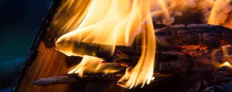 普通木头能烧烤吗 木头烧火能烧烤吗